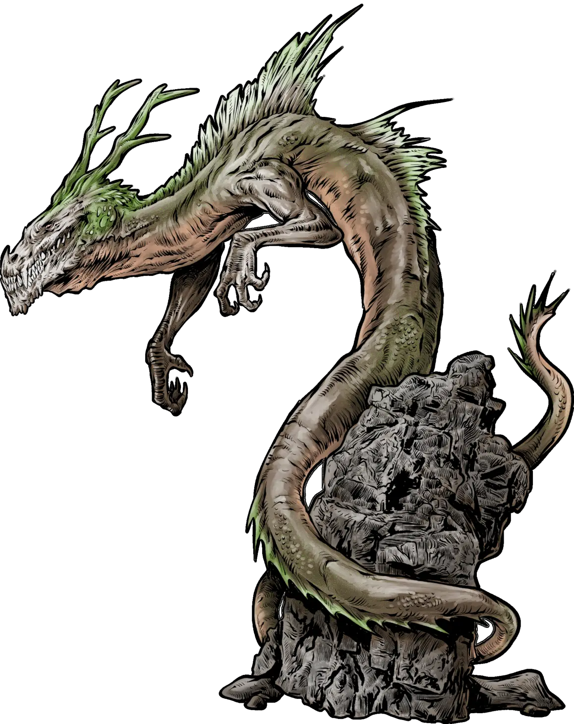 Netherwyrm