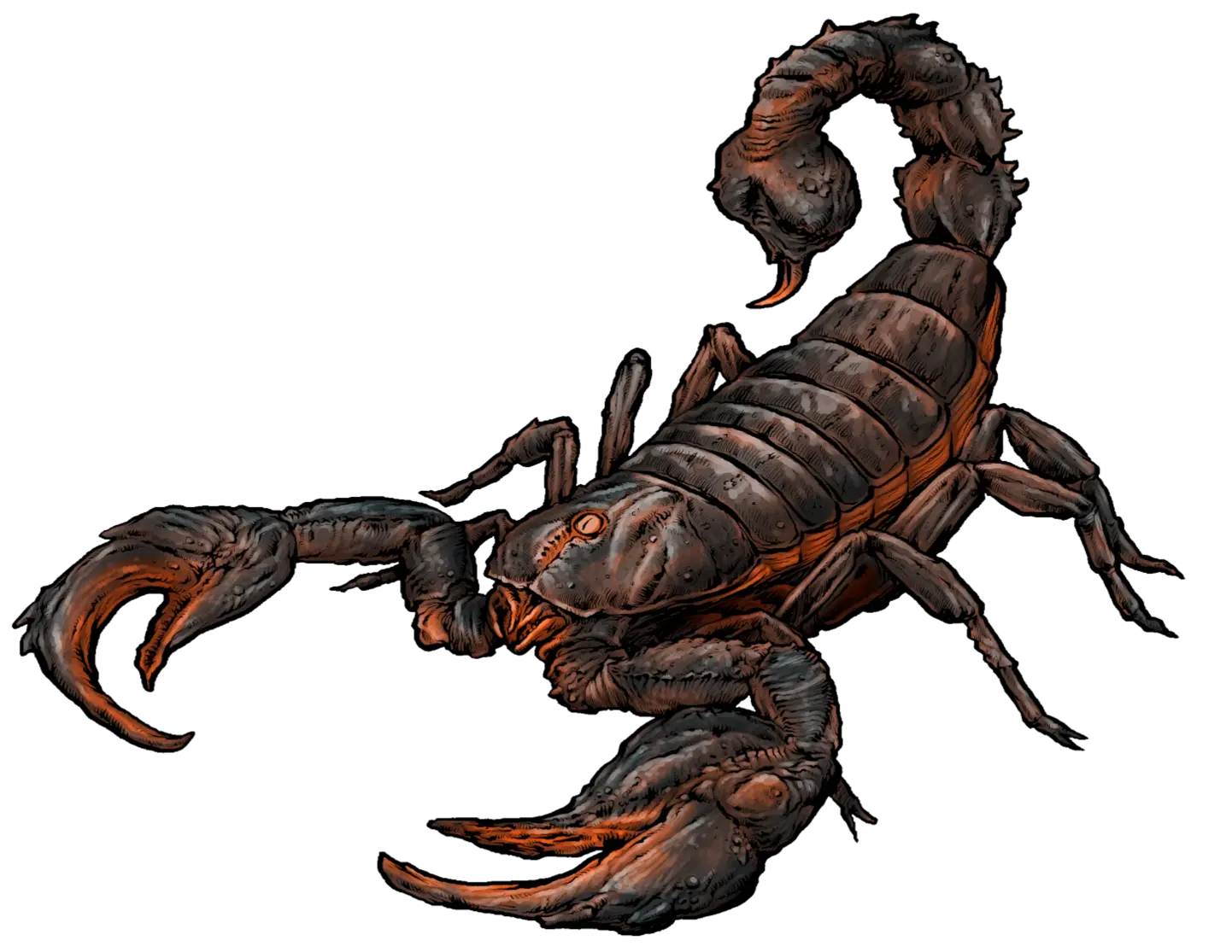 Sandclaw